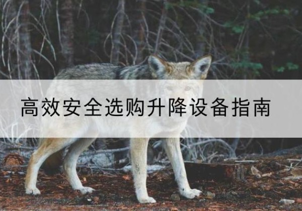 共和升降货梯厂家推荐-*安全选购升降设备指南