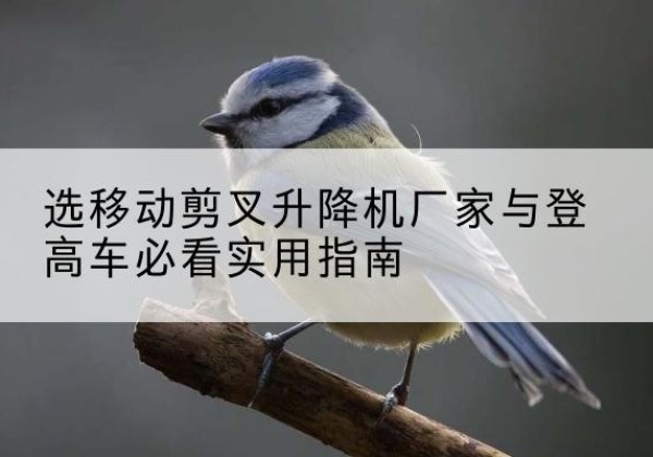 共和电动升降机厂家-选移动剪叉升降机厂家与登高车必看实用指南